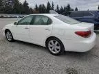 2005 Lexus ES 330