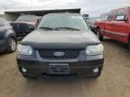 2007 Ford Escape Limited