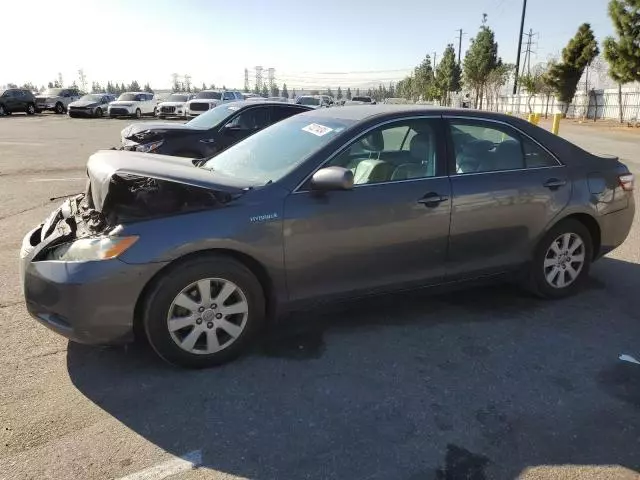 2009 Toyota Camry Hybrid