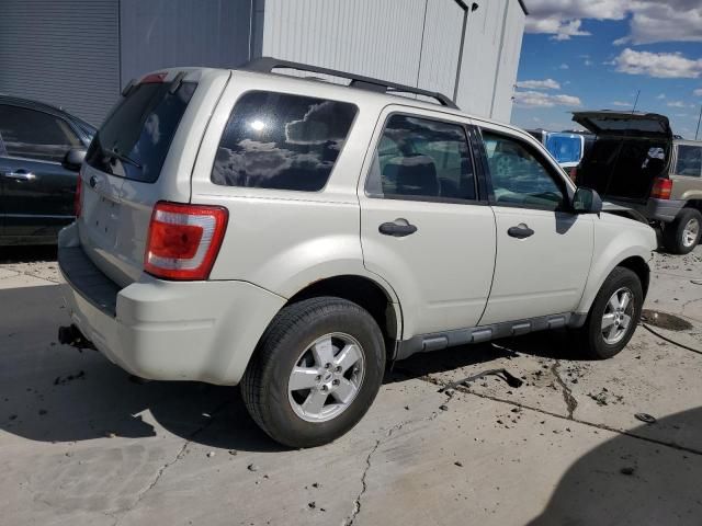 2009 Ford Escape XLT