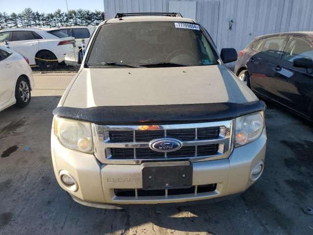 2010 Ford Escape XLT