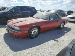 Salvage cars for sale at Arcadia, FL auction: 1996 Jaguar XJS 2+2