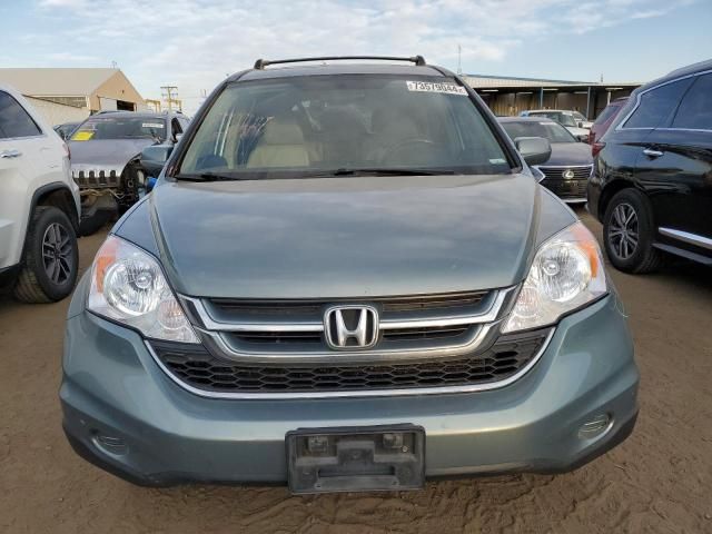 2010 Honda CR-V EXL