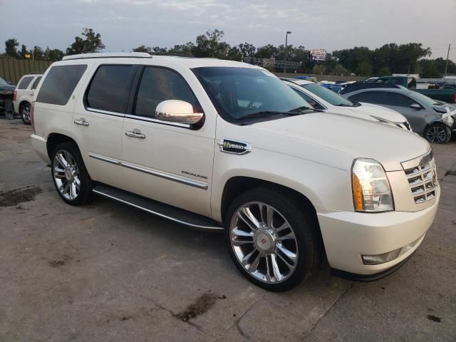 2013 Cadillac Escalade Hybrid