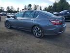 2017 Honda Accord EXL