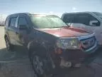 2011 Honda Pilot EXL