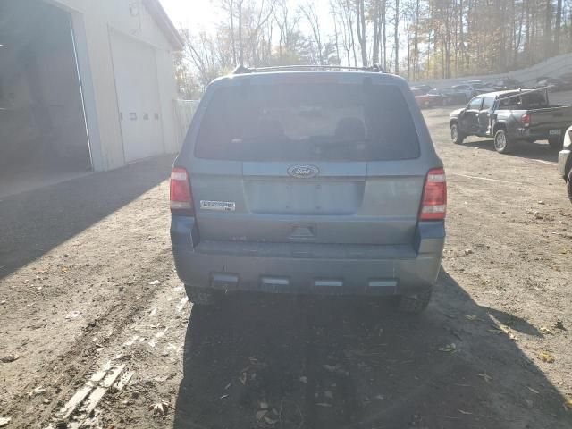 2010 Ford Escape XLT