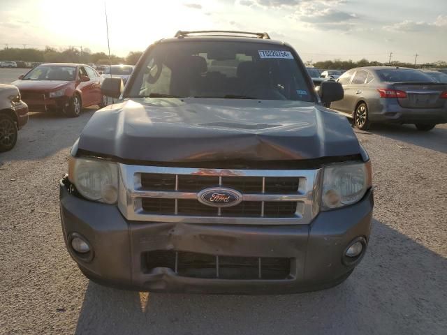 2010 Ford Escape XLT