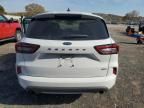 2023 Ford Escape ST Line