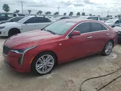 Cadillac ct4 Vehiculos salvage en venta: 2022 Cadillac CT4 Premium Luxury