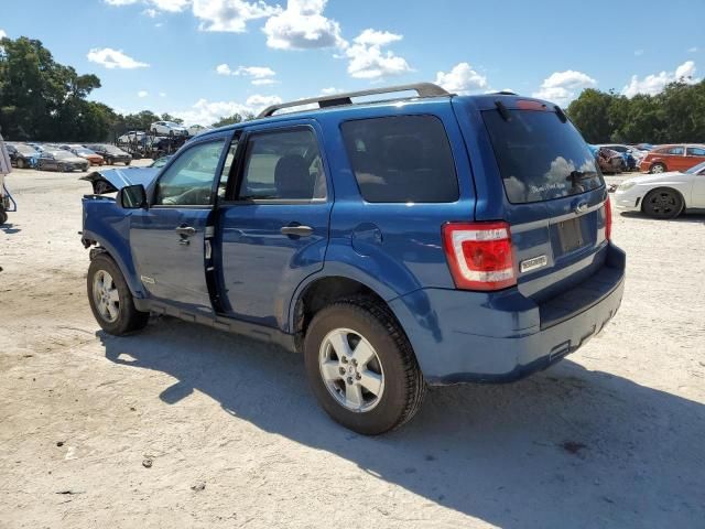 2008 Ford Escape XLT