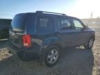 2009 Honda Pilot EXL