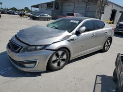 Salvage cars for sale at Corpus Christi, TX auction: 2013 KIA Optima Hybrid