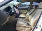 2010 Honda Accord LXP