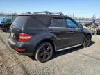 2009 Mercedes-Benz ML 350