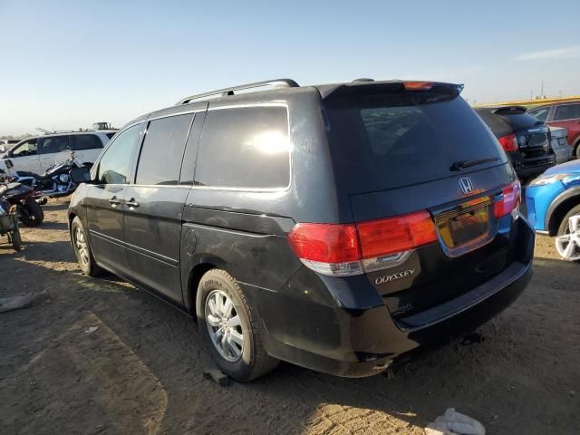 2010 Honda Odyssey EXL