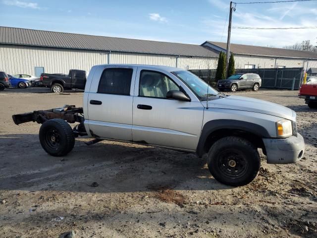 2005 Dodge Dakota Quattro