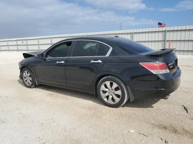 2010 Honda Accord EXL