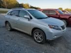 2010 Lexus RX 450H