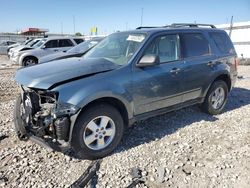 Salvage cars for sale at Cahokia Heights, IL auction: 2011 Ford Escape XLT