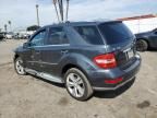 2010 Mercedes-Benz ML 350