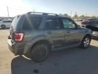 2009 Ford Escape Limited