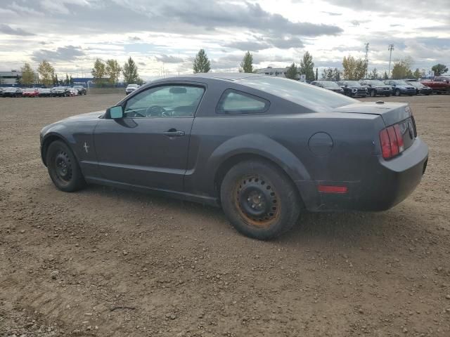 2007 Ford Mustang