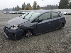 Salvage cars for sale at Graham, WA auction: 2014 Toyota Prius