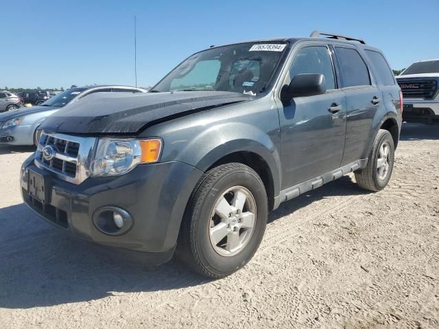 2009 Ford Escape XLT