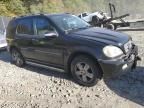 2005 Mercedes-Benz ML 350