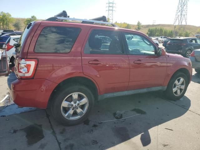 2011 Ford Escape Limited