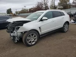 Cadillac srx Premium Collection salvage cars for sale: 2012 Cadillac SRX Premium Collection