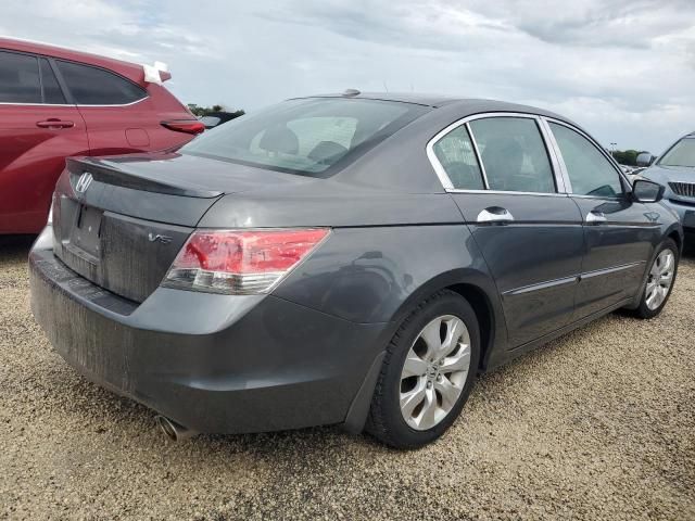 2008 Honda Accord EXL