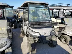 2022 Aspt Golf Cart en venta en Arcadia, FL