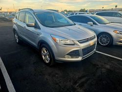 Salvage cars for sale at Phoenix, AZ auction: 2016 Ford Escape SE