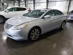 Salvage cars for sale at Ham Lake, MN auction: 2011 Hyundai Sonata SE