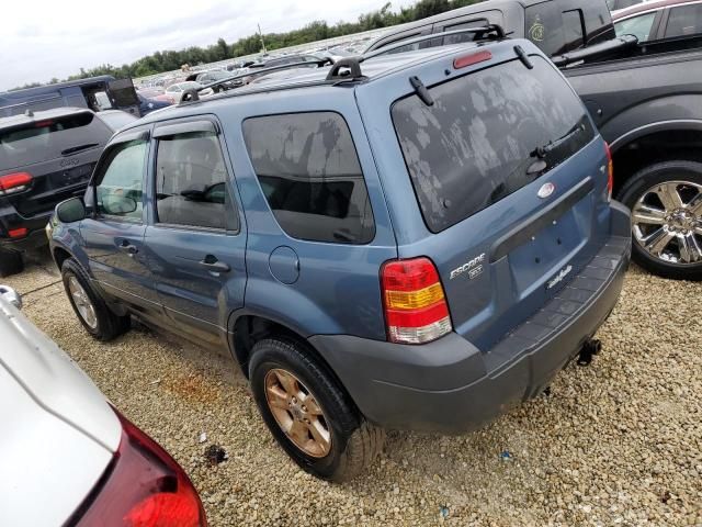 2006 Ford Escape XLT