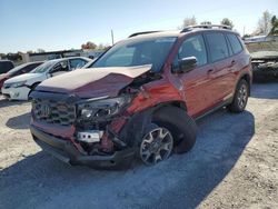 Salvage cars for sale at auction: 2023 Honda Passport Trail Sport