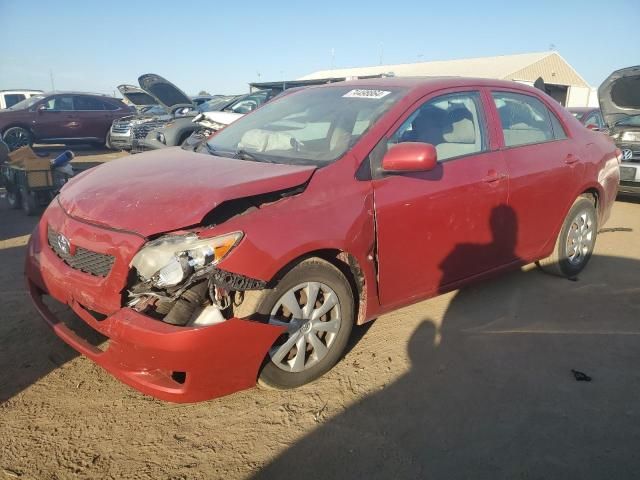 2009 Toyota Corolla Base