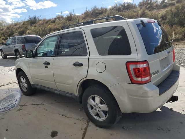 2009 Ford Escape XLT