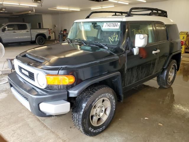 2010 Toyota FJ Cruiser