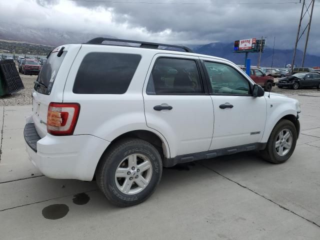 2008 Ford Escape HEV