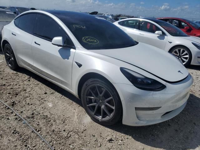 2021 Tesla Model 3