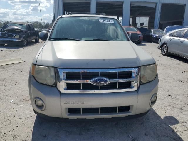 2009 Ford Escape XLT