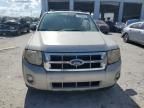 2009 Ford Escape XLT