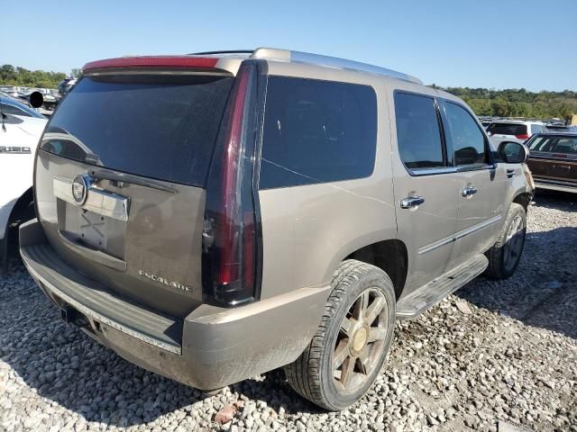 2007 Cadillac Escalade Luxury