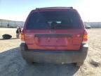 2006 Ford Escape XLT