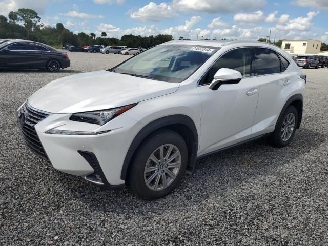 2021 Lexus NX 300H Base