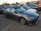 2021 Lexus ES 250 Base