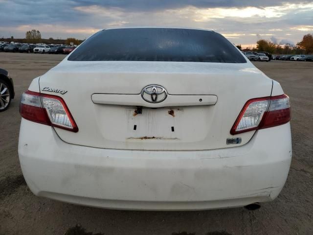 2009 Toyota Camry Hybrid